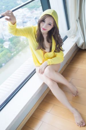 《西行纪年番》动漫