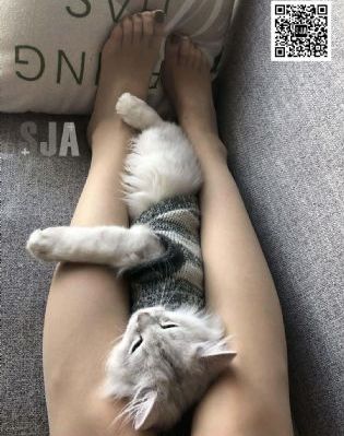 欧美在线看