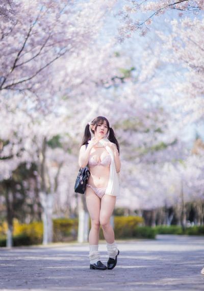 免费观看电视剧全集在线播放高清