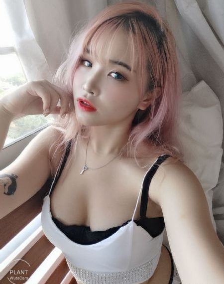 海贼王重制版