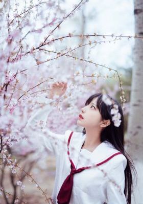 铁齿铜牙第五部免费观看